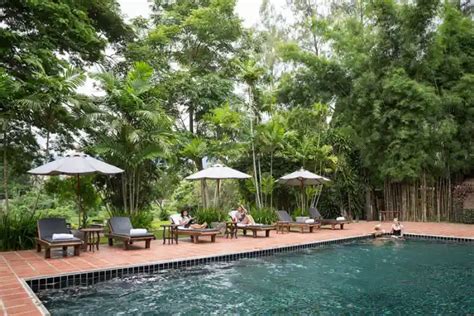 Best Luxury Rehab Centers in Thailand With Reviews.